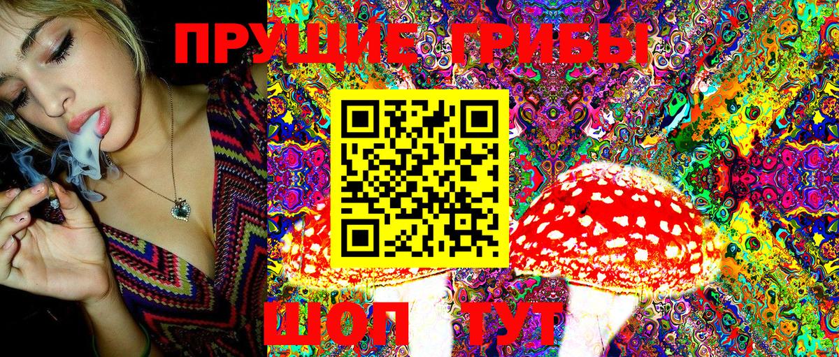 Галлюциногенные грибы MAGIC MUSHROOMS  Вход с VPN  Назрань 